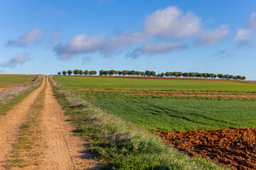 field and the clouds in Zamora