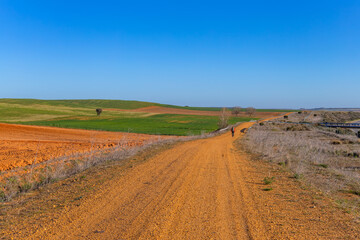 Obraz premium Pilgrim walk along the Camino De Santiago