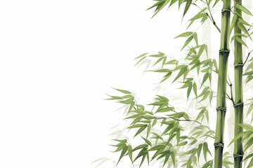 Obraz premium bamboo or bamboo shoots