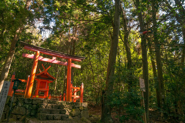 奈良 春日大社の原生林にある神秘的な神社の鳥居