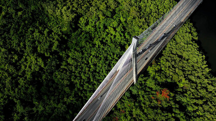 Aerial copy space view of sunlit large suspension bridge over the green forest. Cars driving on speed highway sunrise. The Mauricio Baez cable-stayed Bridge. San Pedro de Macoris, Dominican Republic