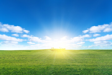 Green meadow  with sun and blue sky with clouds