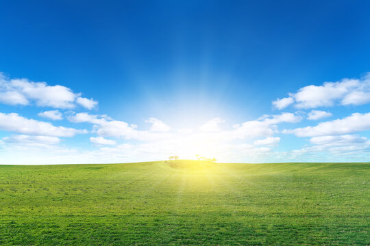 Green meadow  with sun and blue sky with clouds