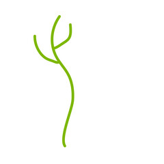 Flower Stem Illustrations