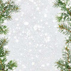 christmas card or new year background made of glittering snowflakes with fir-tree branches