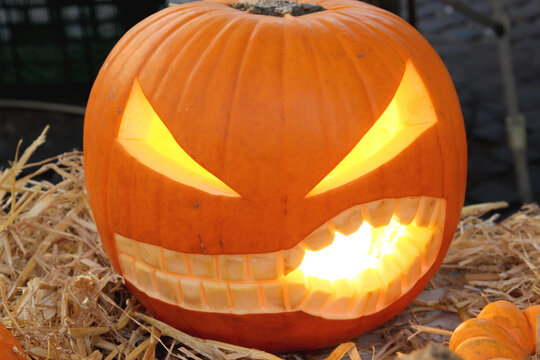 photo image with pumpkin  lantern