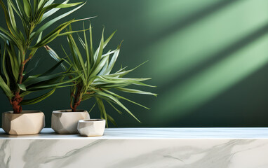 Modern white marble counter table with sunlit tropical tree against a matte green wall—an excellent 3D background for luxury organic cosmetic, skincare, and beauty treatment product displays.
