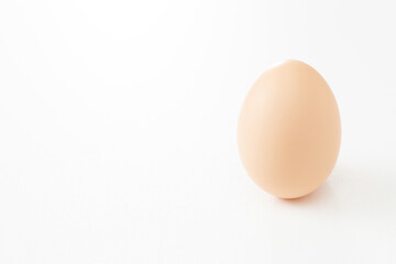 白背景に新鮮な卵