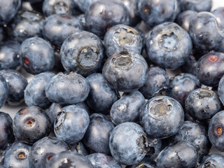 Ripe blueberries on a light background. blueberries close up