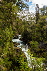 View of the Los Alerces waterfall, in the Mascardi circuit, Nahuel Huapi National Park, Bariloche, Rio Negro, Patagonia Argentina