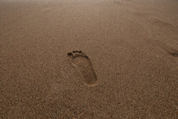 Sandy beach, footprint on the beach .