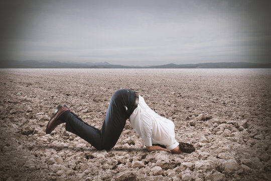 Afraid businessman hides his head under the ground like an ostrich. Fear of crisis concept