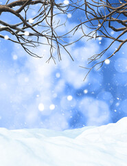 3D render of a winter tree on a snowy background