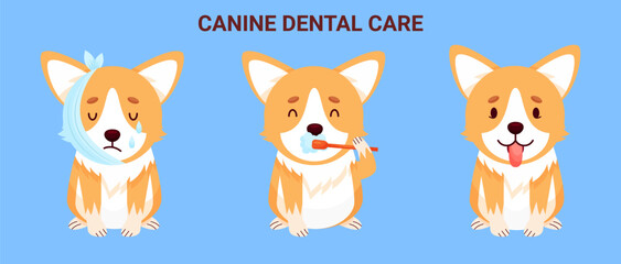 Canine dental care and hygiene banner with Corgi character. Maintaining healthy Dog teeth. Vector illustration cartoon style