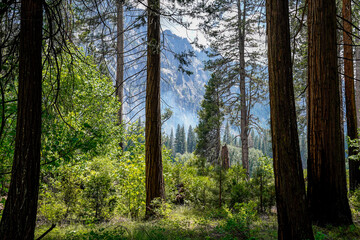 Yosemite National Park, California, USA.