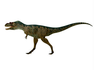 Albertosaurus was a theropod carnivorous dinosaur that lived in the Cretaceous Period of North America.