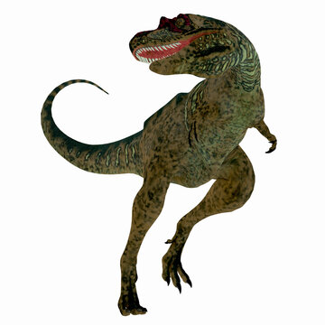 Albertosaurus was a theropod carnivorous dinosaur that lived in the Cretaceous Period of North America.
