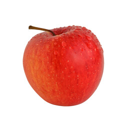 Red apple with water drops isolated