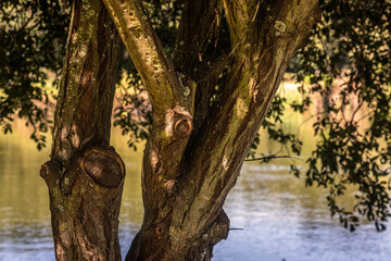 Parque da Cidade do Porto