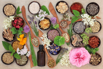 Flower and herb selection used in natural alternative herbal medicine in wooden spoons and bowls with essential oil bottle on hemp paper background.