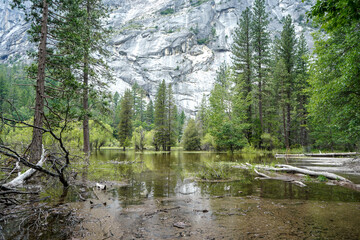 Yosemite National Park, California, USA. Area of Mirror Lake.