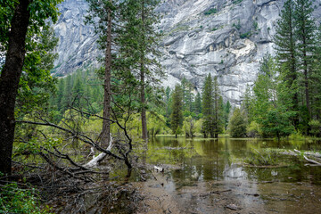 Yosemite National Park, California, USA. Area of Mirror Lake.