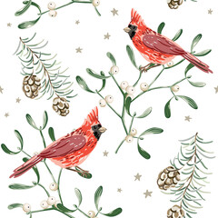 Christmas seamless pattern, cardinal birds, mistletoe, green twigs, cones, stars, white background. Vector illustration. Nature design. Season greeting. Winter Xmas holidays