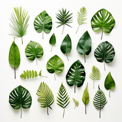 Set of tropical green leaves on white background, Generative ai