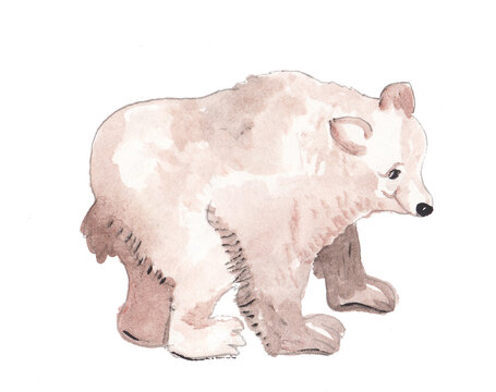 colorful happy white polar bear watercolor paint made