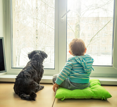 Baby with Dog Looking through a Window in Winter. Boy and Pet Friends Concept. Rear View with Backlit. Toned Photo with Copy Space.