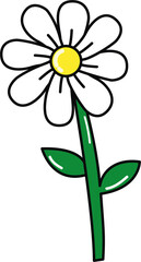 daisy flower