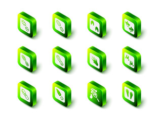 Set Human footprints shoes, Horse paw, Seagull, Wild boar, Rabbit and hare, Alligator crocodile, Magnifying glass with footsteps and icon. Vector