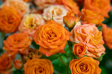 bouquet of orange roses