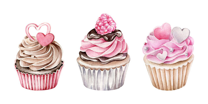 watercolor cupcakes isolated on white background.Romantic cakes