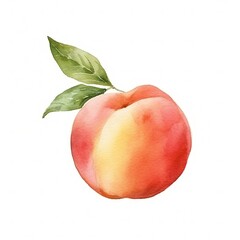 Fototapeta na wymiar Fresh Organic Peach Fruit Background, Square Watercolor Illustration. Healthy Vegetarian Diet. Ai Generated Soft Colored Watercolor Illustration with Delicious Juicy Peach Fruit.