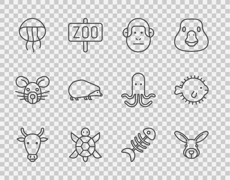Set line Cow head, Rabbit, Monkey, Turtle, Jellyfish, Hedgehog, Fish skeleton and Puffer icon. Vector