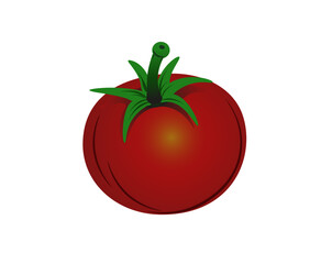 Vector illustration of a red tomato with green foliage on a white background