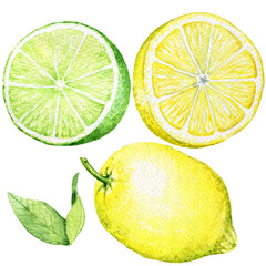 Watercolor fruits - lemon and lime