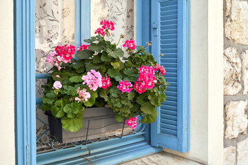 Fototapeta na wymiar Pink geranium flowers on a windowsill in Nice, France