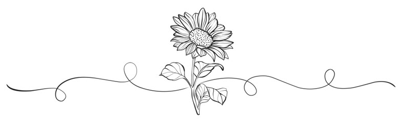 Sun flower line art vector illustration