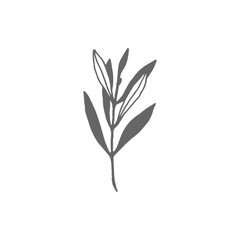 Logo element, clipart, nature, outline, tattoo, handdrawn, drawing