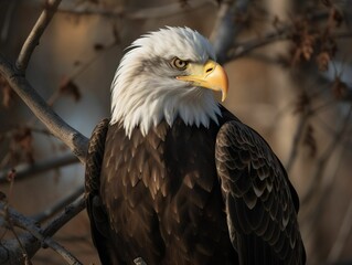 Fototapeta premium AI generated illustration of a bald eagle perched on a sturdy tree branch surrounded by foliage