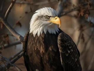 Foto op Plexiglas AI generated illustration of a bald eagle perched on a sturdy tree branch surrounded by foliage © Prex/Wirestock Creators