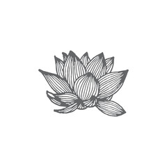 Logo element, clipart, nature, outline, tattoo, handdrawn, drawing