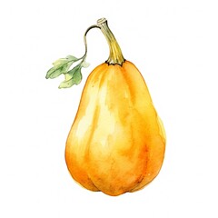 Fresh Organic Butternut Squash Vegetable Background, Square Watercolor Illustration. Healthy Vegetarian Diet. Ai Generated Soft Colored Watercolor Illustration with Juicy Butternut Squash Vegetable.