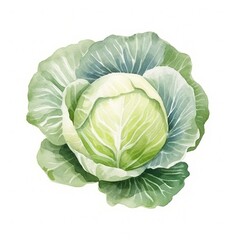 Fresh Organic Cabbage Vegetable Background, Square Watercolor Illustration. Healthy Vegetarian Diet. Ai Generated Soft Colored Watercolor Illustration with Delicious Juicy Cabbage Vegetable.