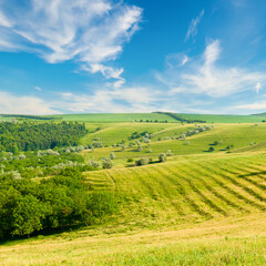 Fototapeta na wymiar Hilly field, meadow, pasture and blue sky.