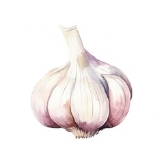 Fresh Organic Garlic Vegetable Background, Square Watercolor Illustration. Healthy Vegetarian Diet. Ai Generated Soft Colored Watercolor Illustration with Delicious Juicy Garlic Vegetable.