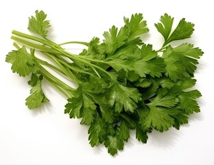 Parsley bunch tied with ribbon isolated on white background. Created with Generative AI technology.