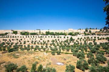 View of Jerusalem Around Kidron Valley